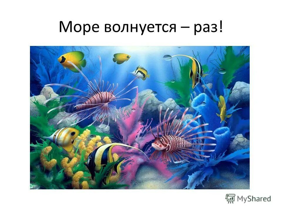 Море волнуется раз слушать. Море волнуется раз. Игра море волнуется. Картинки для игры море волнуется. Море волнуется раз игра.