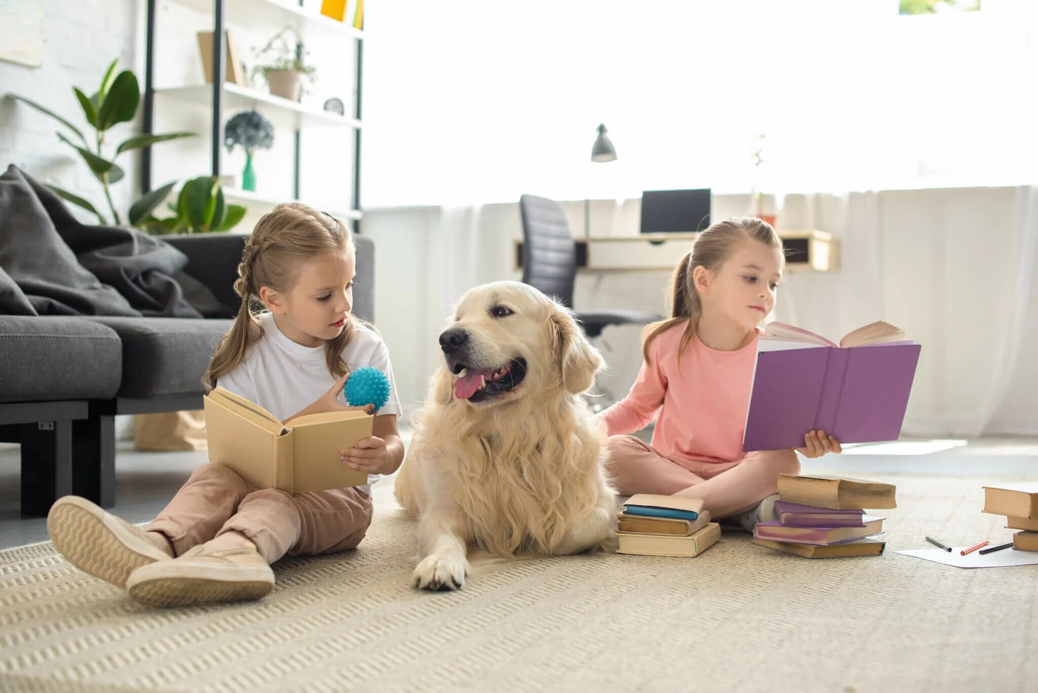 Having pets at home. Ретривер слушает как ребенок читает книгу. Ретривер лежит ребенок читает книгу. Bring Pets to School. Job picture Pet.