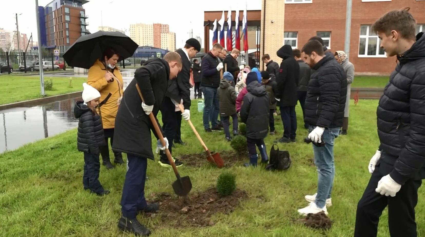 Школа 91 Ярославль. Директор школы 91 Ярославль. Дерево школа. Школа 91 Ярославль фото.