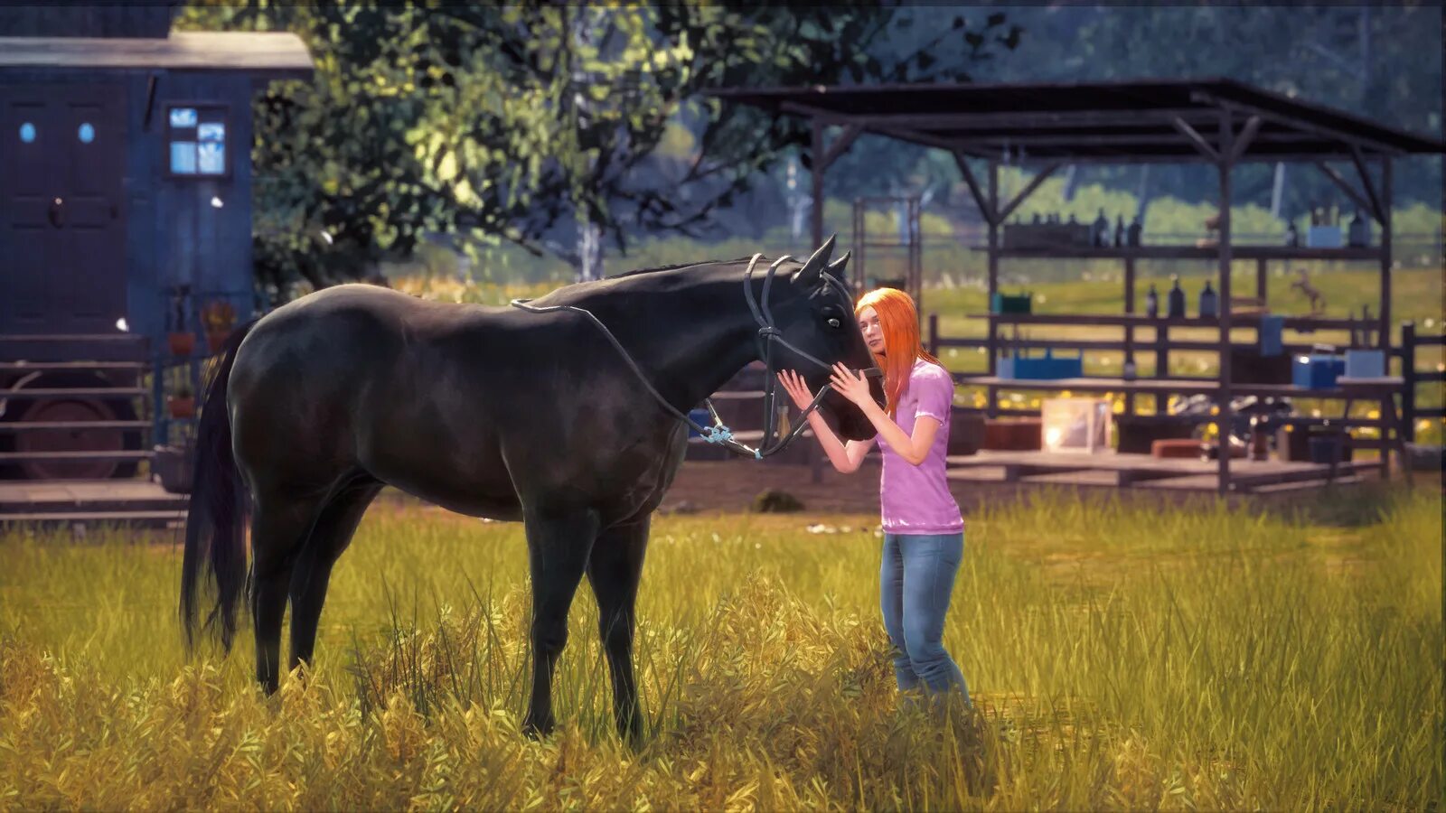 Оствинд игра 2. Оствинд восточный ветер игра. Ostwind/windstorm игра. Ostwind/windstorm игра. Ostwind/windstorm игра.