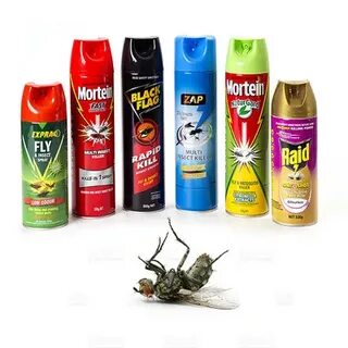 Flies killed