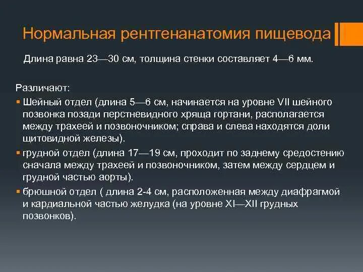 Пищеварительная система у новорожденных. Толщина пищевода. Длина пищевода к 5 годам. Толщина пищевода у взрослого человека. Пищеварительная система грудного ребенка.