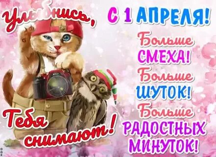 1 апреля красноярск