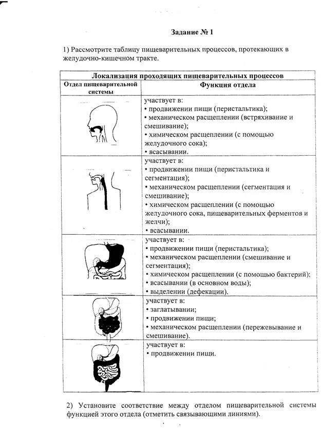 Функции пищеварительной системы таблица. Структура и функции пищеварительного тракта. Таблица отдел пищеварительной системы строение функции. Пищеварительная система человека строение и функции таблица.