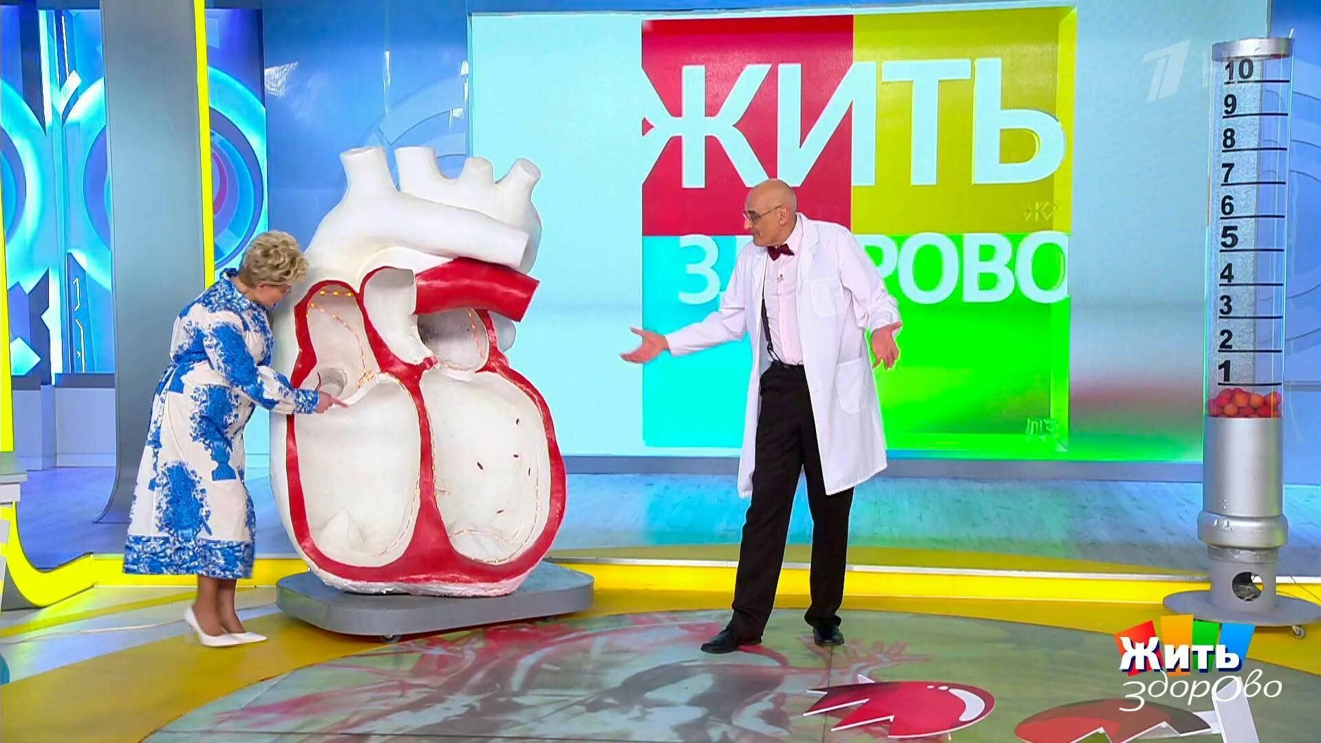 Жить здорово 25.03 2025. Заставка передачи жить здорово. логотип программы жить здорово. жить здорово заставка 2010.