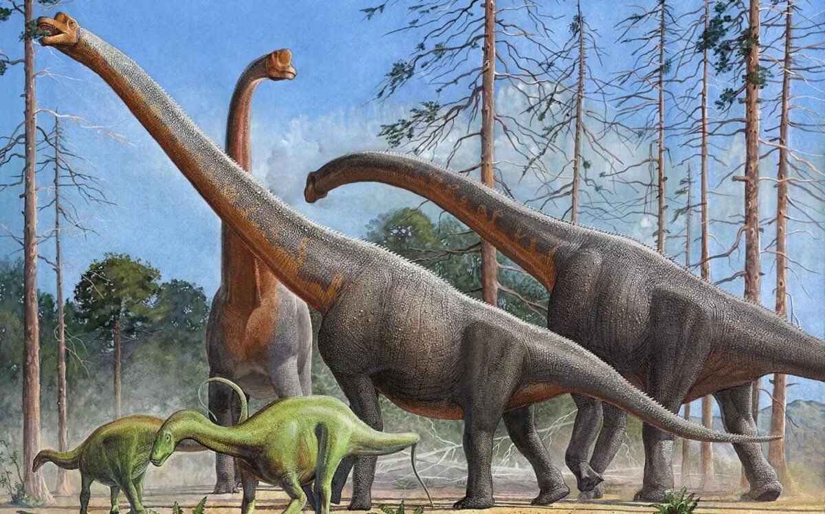Самый травоядный динозавр. Бронтозавр Брахиозавр. Зауроподы Брахиозавр. Диплодок Аргентинозавр. Травоядные динозавры зауроподы.