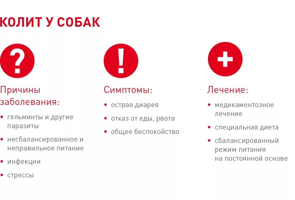 Колит кишечника симптомы и лечение. Профилактика хронического колита.