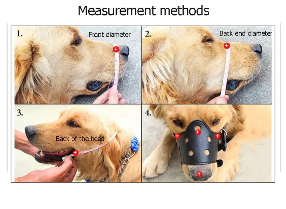 Как подобрать намордник для собаки. Как выбрать размер намордника для собаки. Замеры для намордника собаки. Правильный намордник для собаки. Как измерить размер намордника для собаки.