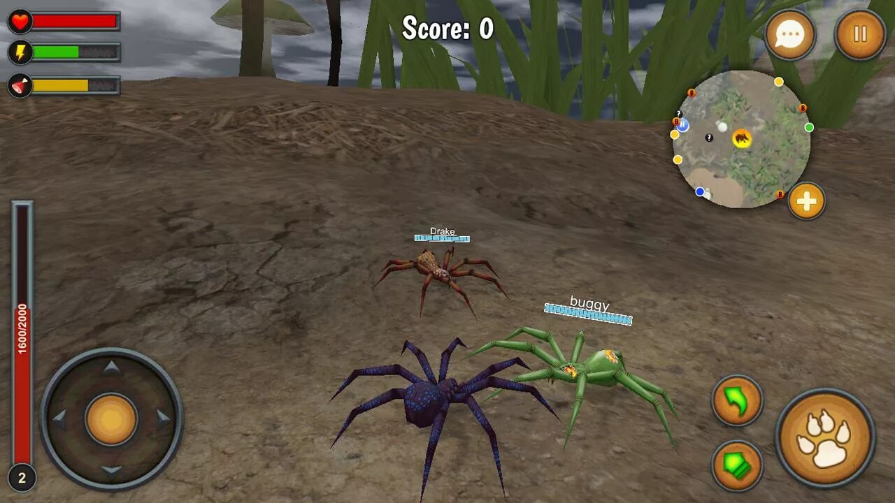 Игра Spider World Multiplayer. Игры про пауков. Паук игровой. Игра про гигантских пауков.