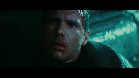 Tears in the rain