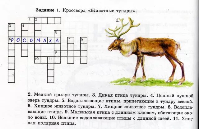 Охота при которой окружается зверь кроссворд. Красводр на тему животные и растения. Кроссворд на тему живот. Кроссворд на тему животные и растения. Кроссворд на тему животные.