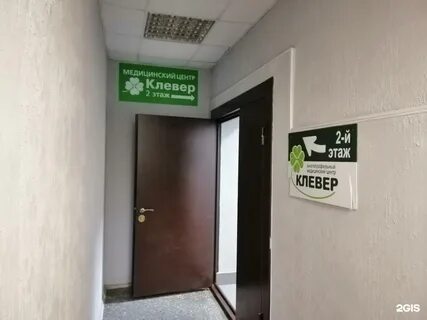 Клевер югорск