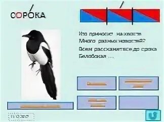 Сколько звуков в слове ворона. Сорока звуковая схема. Ворона звуковая схема. Схема слова сорока. Сорока схема звуков.