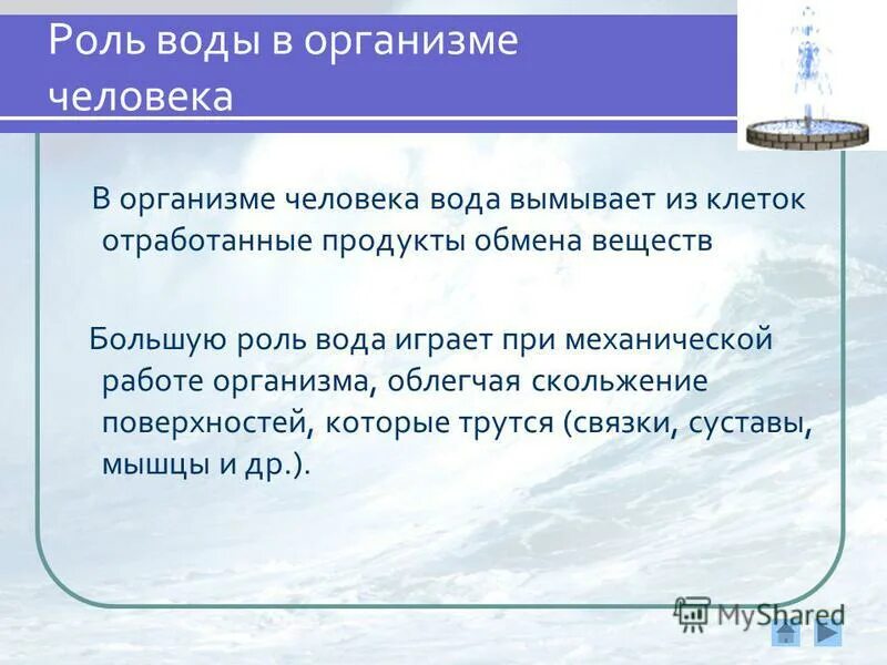 Роль воды в продуктах