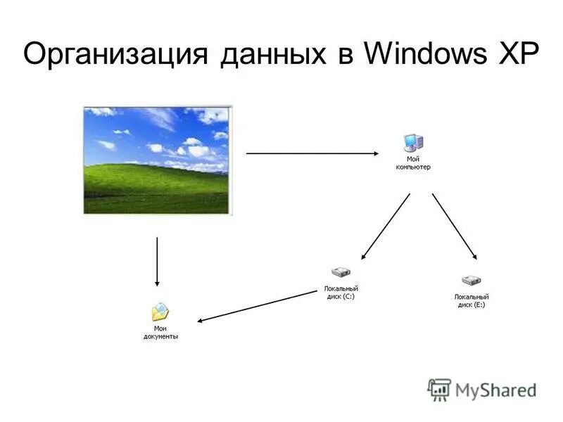 Пример иерархической базы данных. Организация данных в windows. Организация данных в windows. Организация данных в windows. Файлы и папки windows.