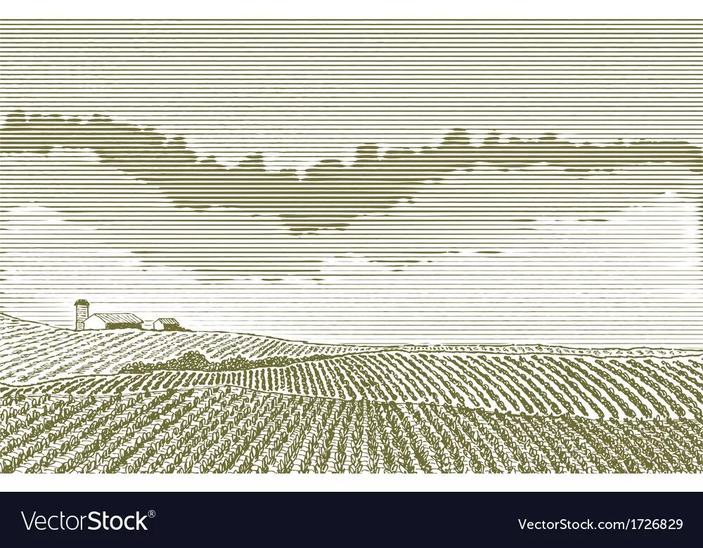 Simple fields