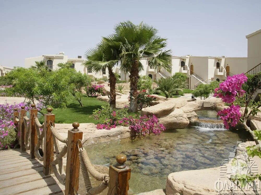 Island view resort 5 отзывы. Санрайз исланд вью шарм-эль-шейх. island view шарм-эль-шейх 5. исланд вью резорт 5 шарм-эль-шейх. island view resort (ex. sunrise island view resort) 5*.