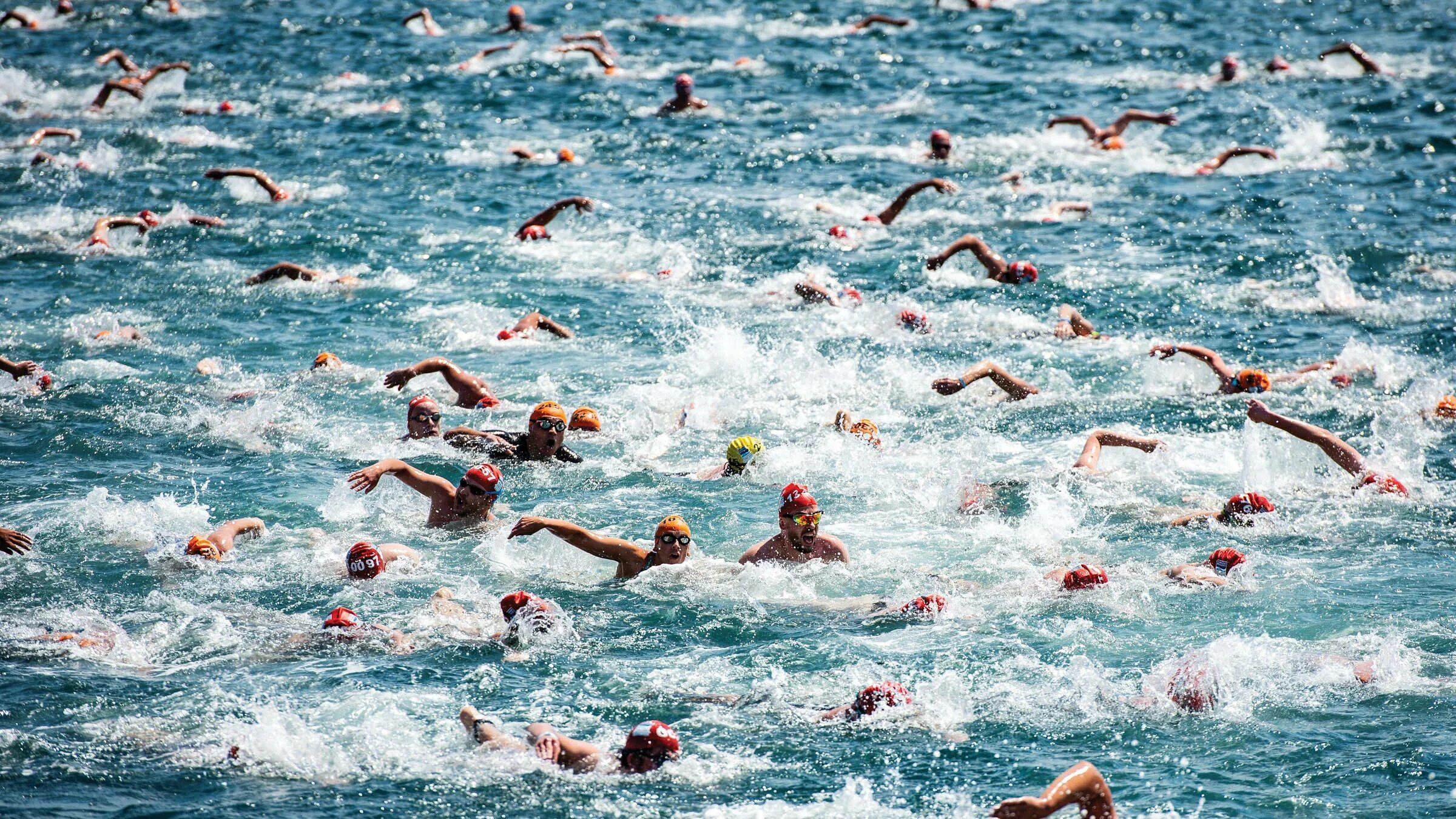 На открытой воде быстро. Босфор заплыв. Bosphorus Cross Continental Swim. Плавание на открытой воде. Плавать в море.