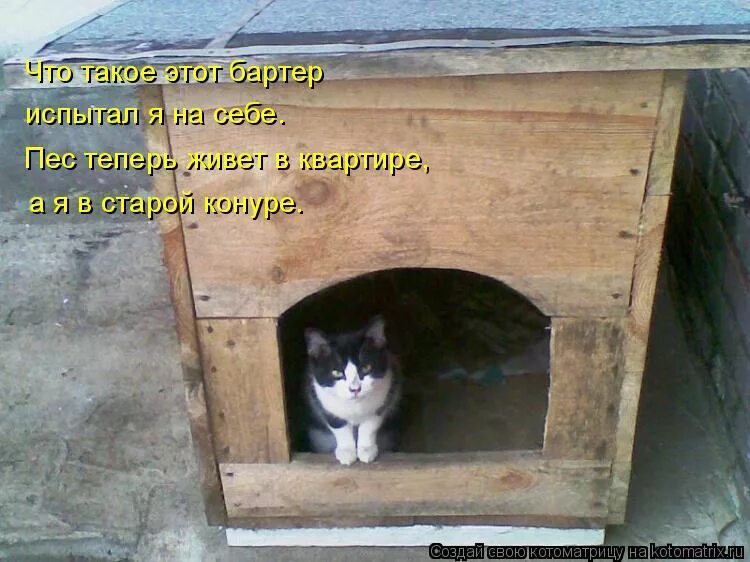 Деревенская собачка. Будка для собаки мульт. Собака охраняет дом рисунок. Пес на цепи в будке. Пес шарик живет в будке.