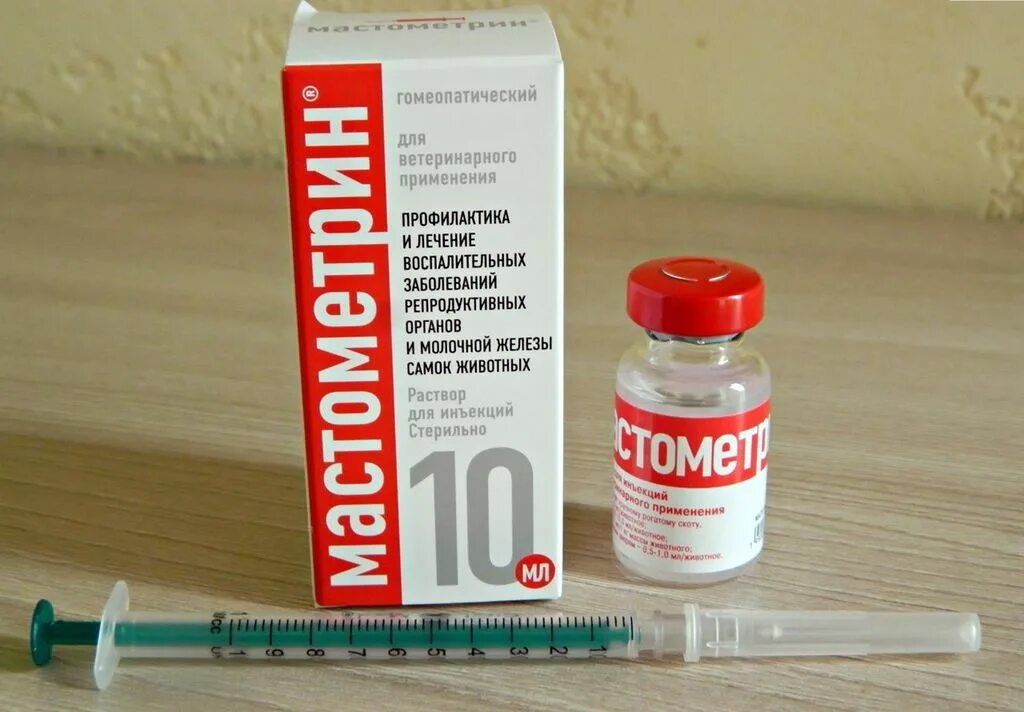 Собаки мастит мазь. Мастиет форте для собак. Мастиет форте шприц. Препарат мастиет форте. Собаки мастит мазь.