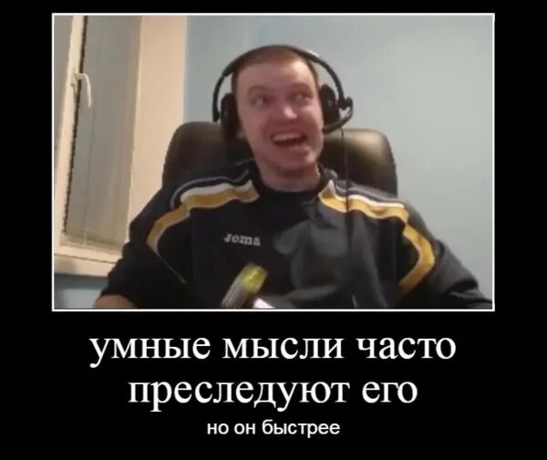 Цитаты папича