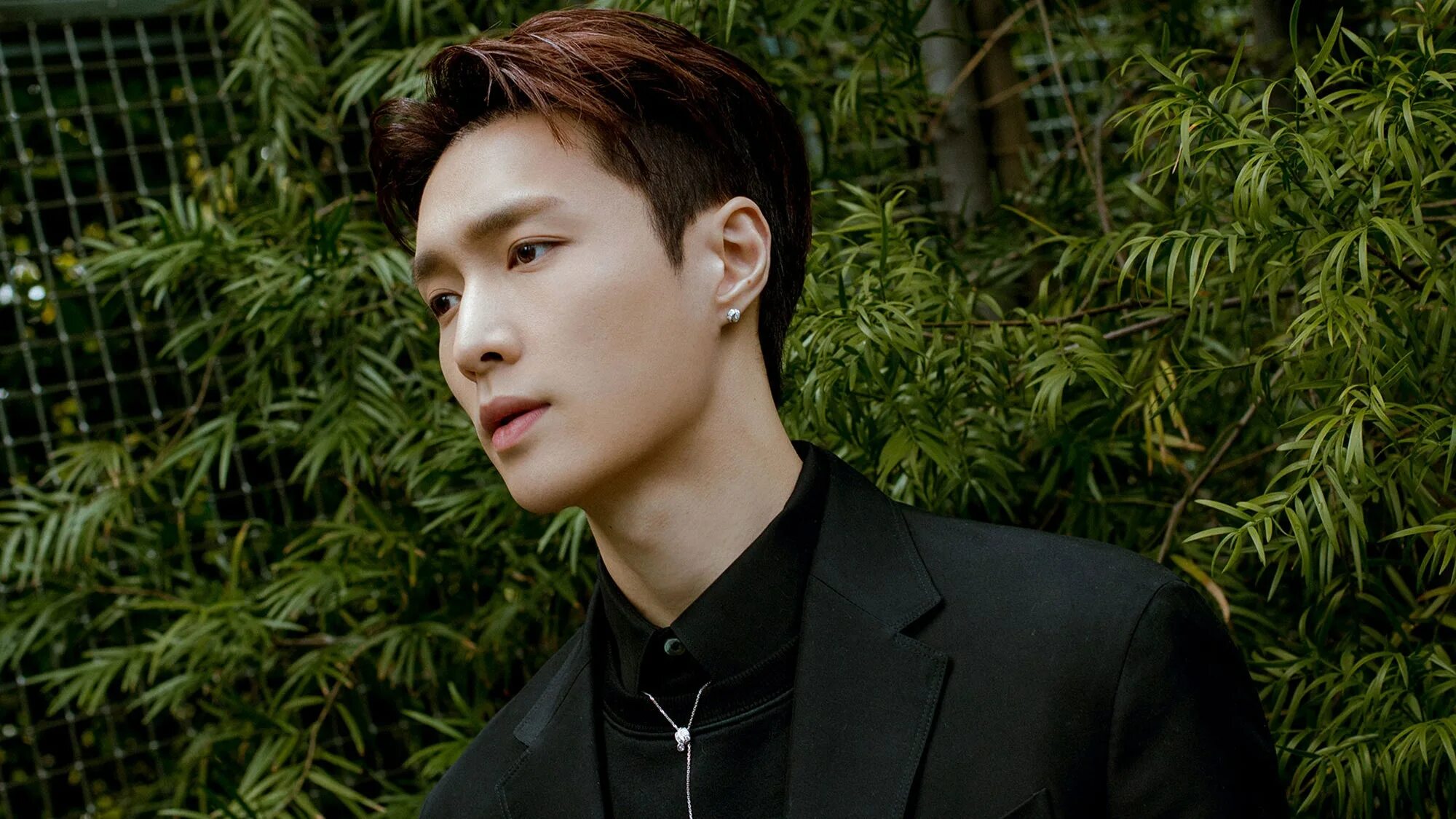 Lay bo