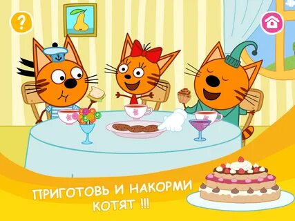 Кот кидс