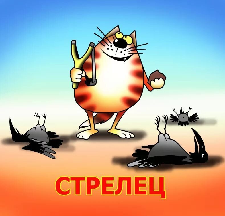 Кот стрелец гороскоп
