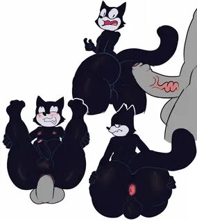 Rule 34 cartoon cat