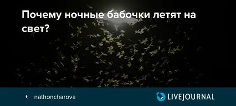 Почему мотыльки свет
