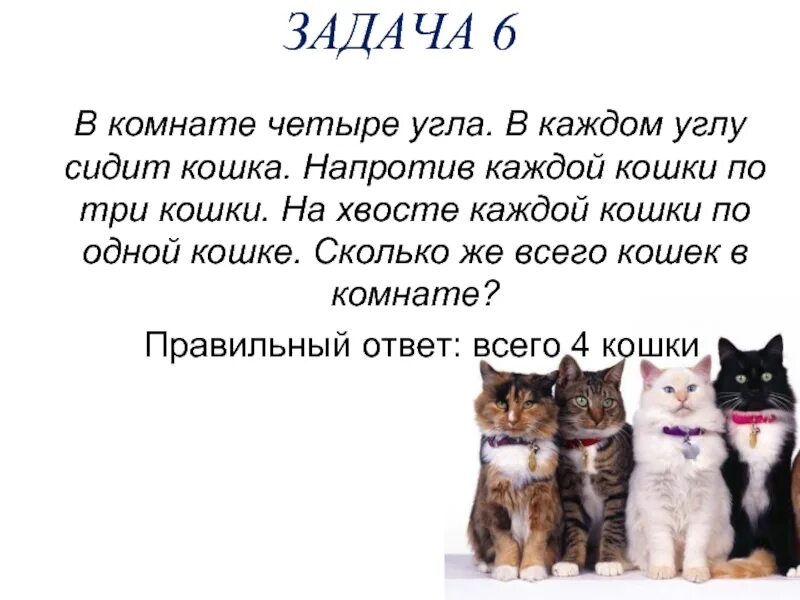 Задача в комнате 4 угла в каждом углу сидит кошка. В каждом углу по кошке напротив каждой кошки по три кошки. Три кошки для 1 класса.