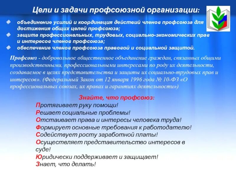 Цели и задачи первичной профсоюзной организации. Задачи первичной профсоюзной организации работников образования. Профком первичной профсоюзной организации задачи. Главная задача профсоюзной организации.