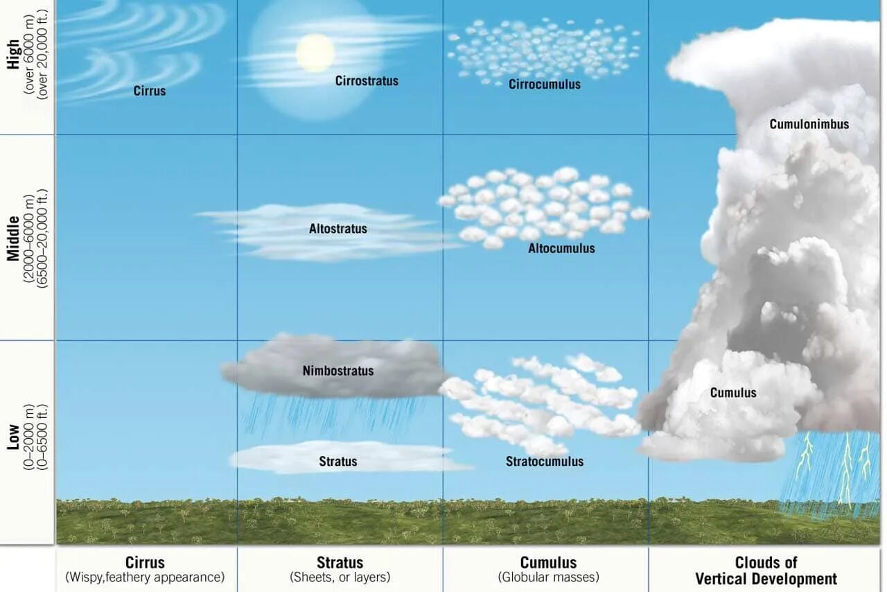 Город облаков коды. Виды облаков. Stratus Cumulus. Cirrostratus облака. Виды облаков иллюстрация.