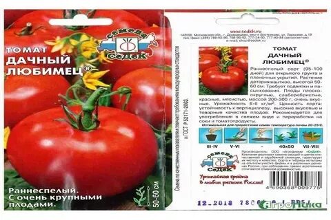 Сорт томата дачник характеристика и описание