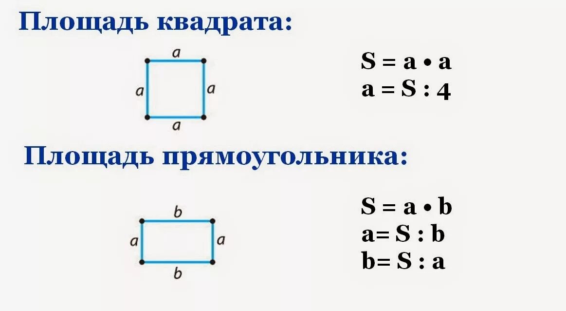 Площадь фигур площадь квадрата площадь прямоугольника