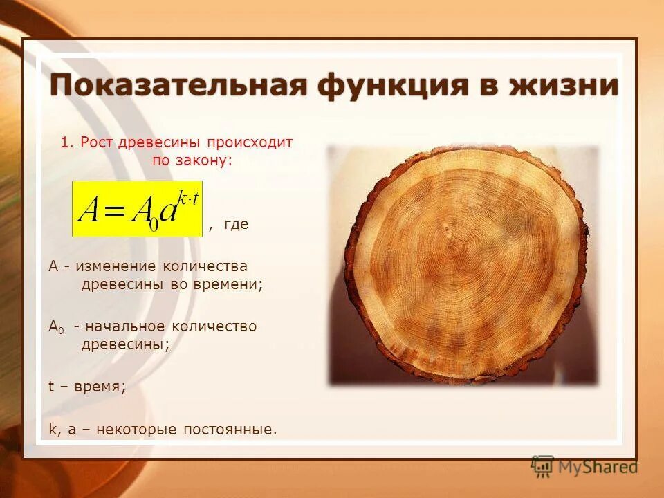 Практическое применение функции. Показательная функция в жизни человека. Примеры показательной функции в жизни. Применение показательной функции в жизни. Показательная функция в природе.