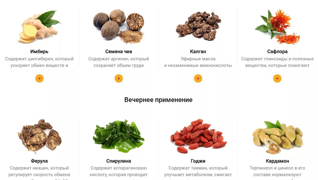 Имбирь простата. Семена имбиря. имбирь ускоряет метаболизм?. семена имбиря фото. имбирь семена купить.