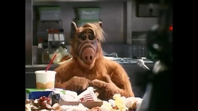 Альф 1 сезон 2 серия. Альф фильм 1996. Проект альф 2. Альф двд. Проект альф 2.