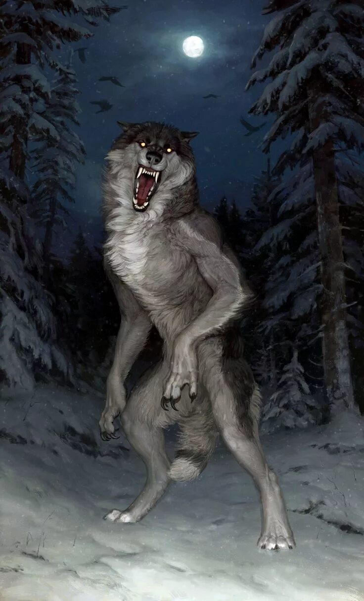 Она видела волка. Черный Вольф Вольф человек волк. Вервольф волк. Оборотень Вервольф Ругару. Доисторический волк canis Dirus.