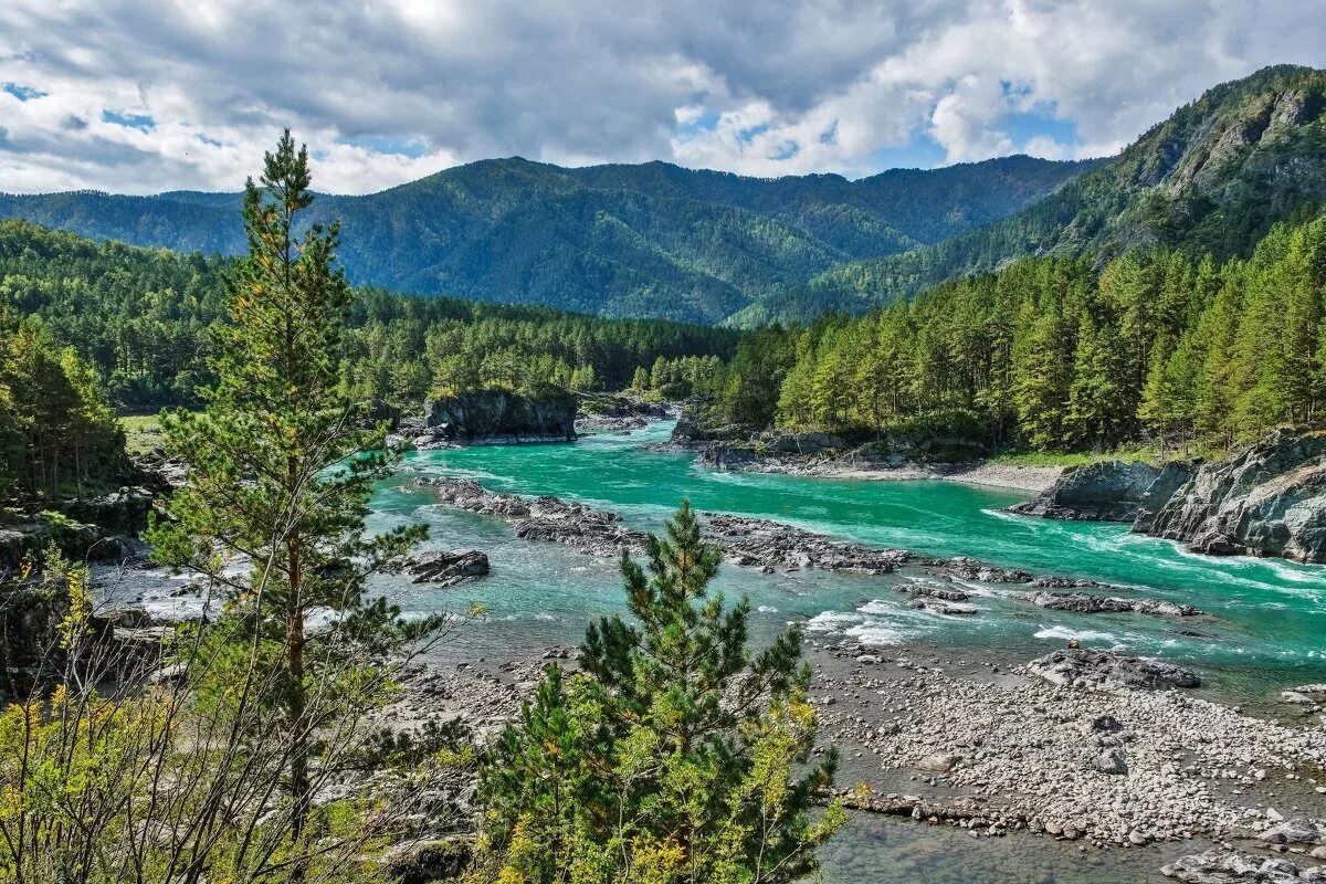 мини видео алтая. верхний уймон республика алтай. верхнее мультинское озеро горный алтай. село верх уймон алтай. маашей (озеро).
