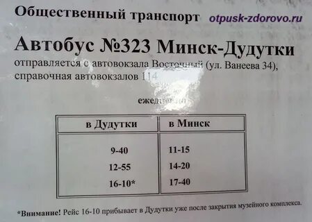 Расписание 323