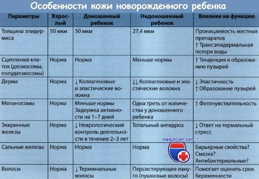 Функции кожи новорожденного. Функции кожи новорожденного. Афо кожи и слизистых у детей раннего возраста. Функции кожи новорожденного. Функции кожи у детей и взрослых.