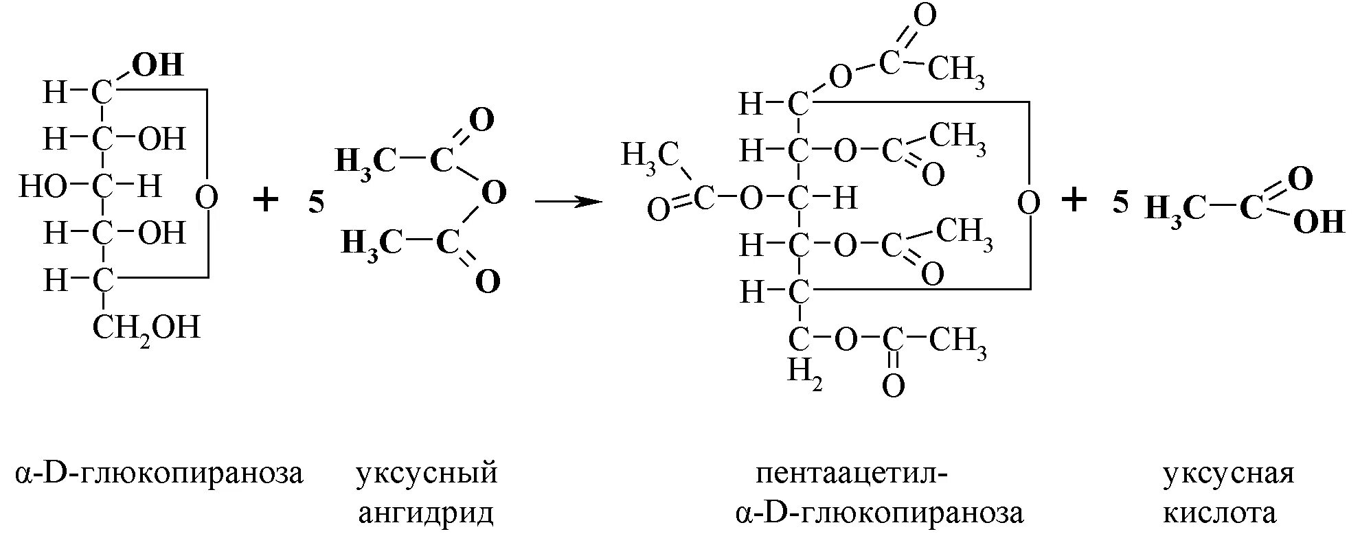 D глюкоза реакции. Д галактоза с уксусным ангидридом. Д манноза с уксусным ангидридом. D галактоза и уксусный ангидрид. Альфа Глюкоза и уксусный ангидрид.