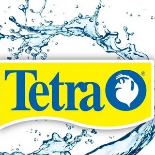 Фирма тетра