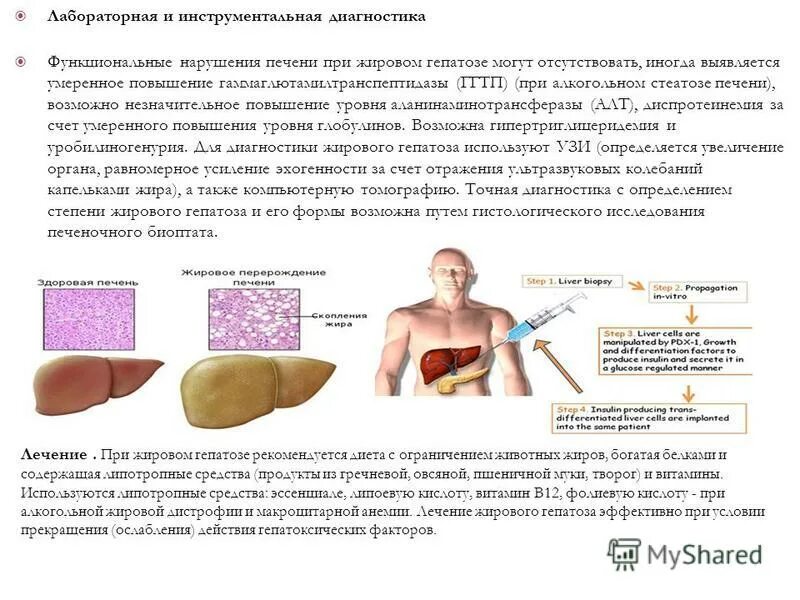 Боли при заболевании печени. Жировой гепатоз печени лекарства. Жировой гепатоз печени лечится. Диета при жировом гепатозе. Жировой гепатоз печени диета.