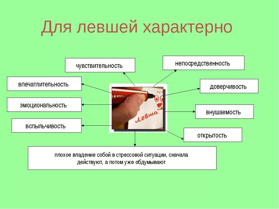 Почему у левши не было имени. Левши особенности. для леворукого ребенка характерны. особенности праворуких и леворуких детей. особенности развития леворуких детей.