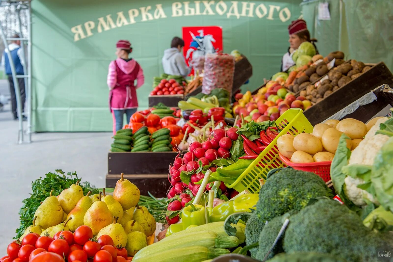 закупаем сельскохозяйственную продукцию. сх продукция. ярмарка. экспорт сельскохозяйственной продукции. закупаем сельскохозяйственную продукцию.