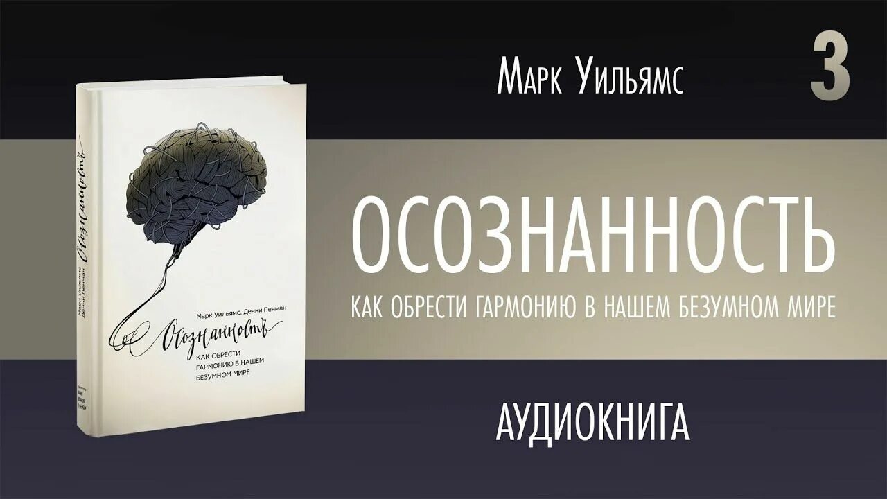 Играя жизнями аудиокнига. Осознанность Уильямс и Пенман. Как обрести гармонию в нашем безумном мире.