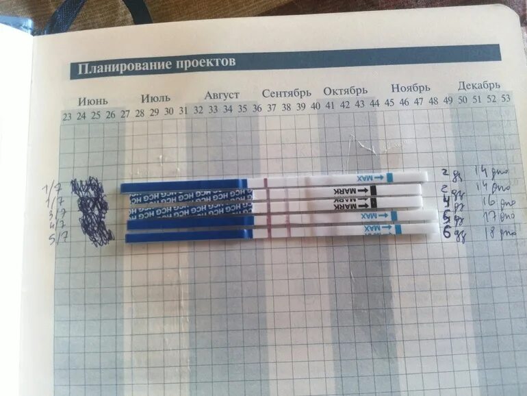На 6 день покажет тест беременности. Тесты на беременность по дням. Динамика тестов на беременность по дням. Тесты на беременность по ДПО. Тест на беременность в динамике.