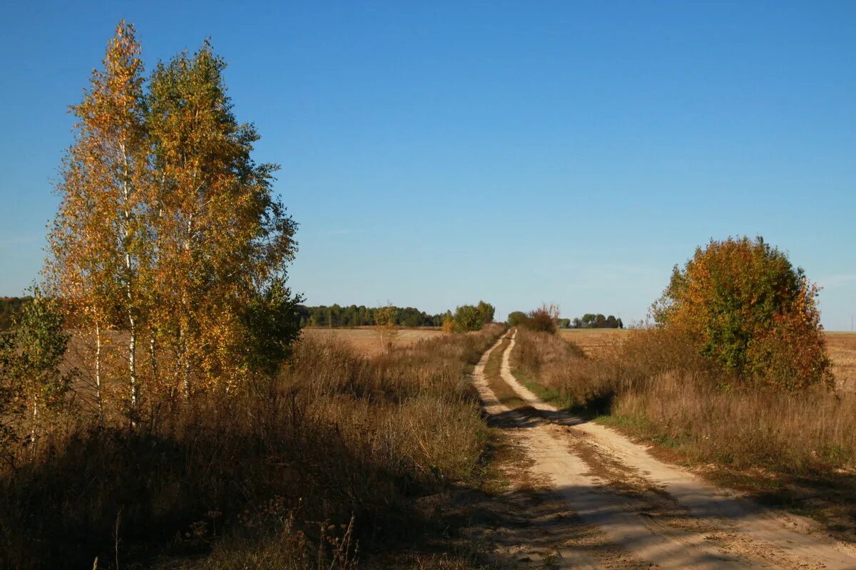 Поселковая дорога. Сельская дорога. Дорога в деревне. Проселочная дорога. Деревенская дорога.